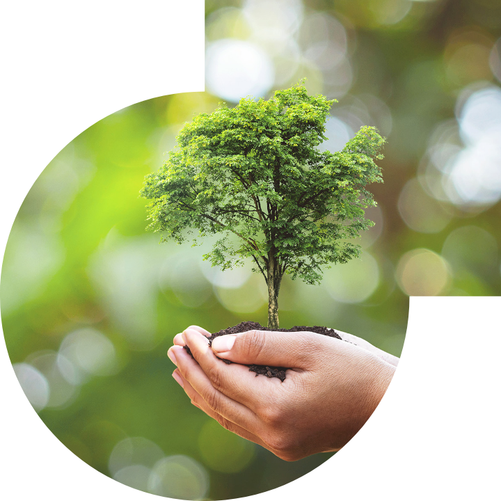 关怀人类、文化、环境与社会